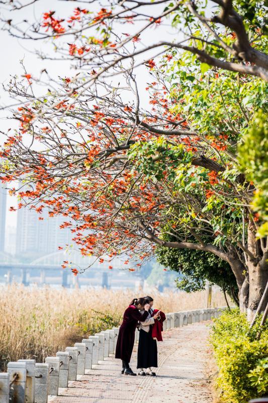 春暖，共赴花海