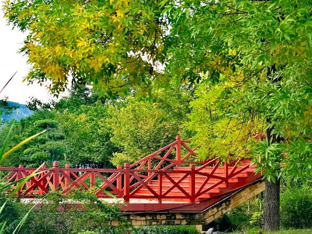 秋天的陇南，有什么好看的？