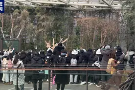 大熊猫“福宝”回国前最后一日公众展出 数千韩国民众前往送别图片