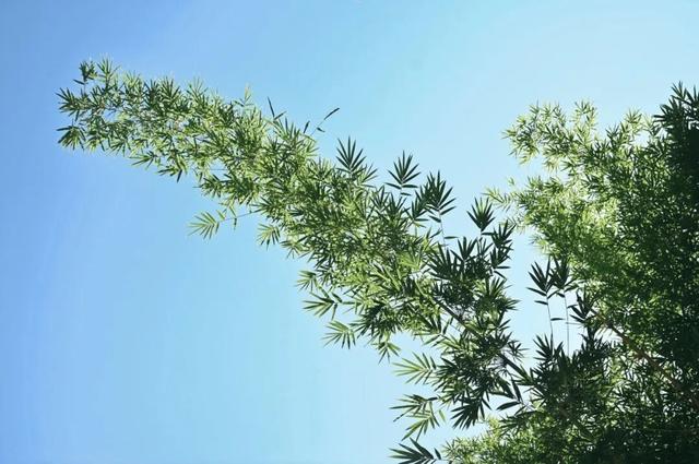 安纳班纳·泰宁 | 在时间的褶皱里，呼吸一场丹霞旧梦