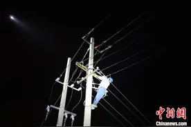 大风致断电数千亩水产养殖园陷危机  供电“陆空”救援挽损1.5亿元图片