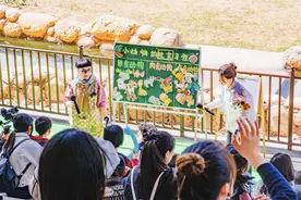 用爱点亮繁星，郑州银基动物王国温柔守护“星星的旅程”图片