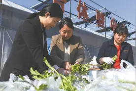 城乡社区活力满满 集体经济红红火火图片