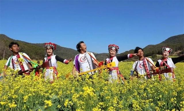 冬暖花开游云南 | 冬游红河，“马”上赏花！