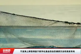宁波海上鲜取得基于数字化渔业的动态捕捞方法和系统专利视频封面