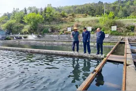 出口免税“活水”润泽 黔南鲟鱼乘风破浪图片