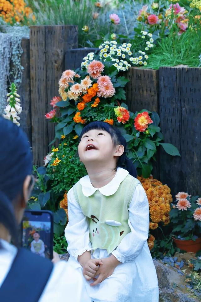 行摄 | 美爆了！秋日花海，限时上映