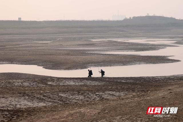 大美红图丨湘江枯水河床成市民活动“新场所”