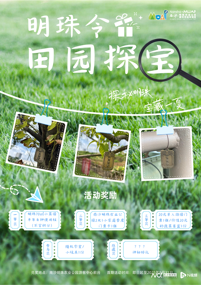 南沙的夏天太会玩！各类活动火热来袭，盛夏精彩不停歇