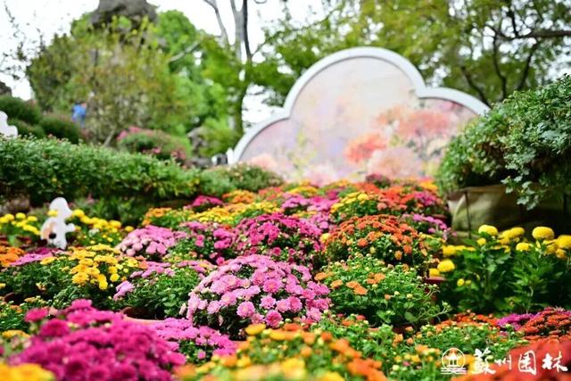 苏州的秋天，给你点“颜色”看看！