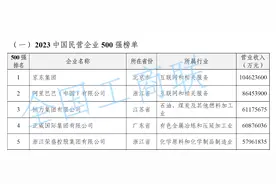 中国民营企业500强发布：京东阿里恒力位居前三，吉利纳税最多图片