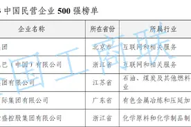 中国民营企业500强发布：京东阿里恒力位居前三，吉利纳税最多图片