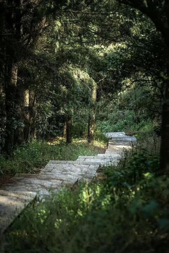 昆明8条2025乡村旅游精品线路出炉，附详细游玩攻略