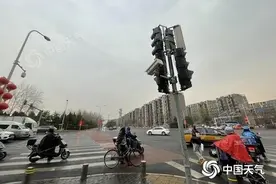 雨来了！北京今日迎入春后第一场雨 湿冷感明显注意保暖图片
