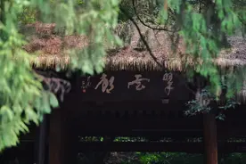 亚洲媒体考察团走进广元翠云廊：古蜀道上千年古柏郁郁葱葱图片