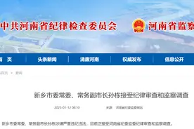 河南省新乡市委常委、常务副市长孙栋被查图片