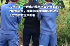 研发公司回应“激光炮剪树枝”：视频用了特效，剪断直径10厘米树枝需1分钟图片
