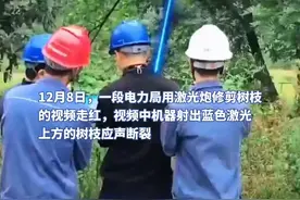 研发公司回应“激光炮剪树枝”：视频用了特效，剪断直径10厘米树枝需1分钟图片