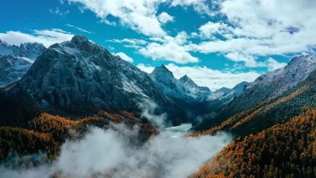 它都这么美了！差点忘记推给你了