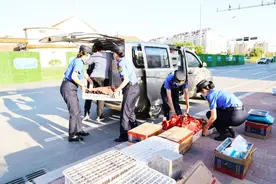 综合执法“娘子军”又暖又飒图片