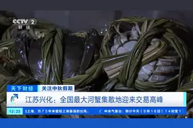 全国最大河蟹集散地迎交易高峰！日均交易量超千吨，美味上餐桌→图片