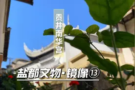 盐都文物·镜像⑬｜即将对外开放→打卡贡井南华宫图片