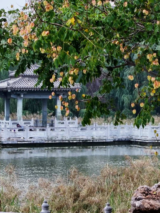 孟津、汝阳赏秋玩法上新！这份攻略快收好