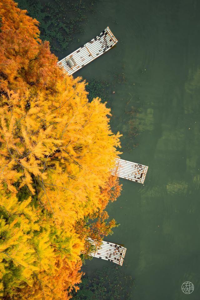 天晴了，去落雁过秋天！