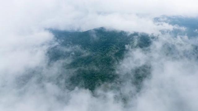 图观白沙 | 跟着赛事游白沙——白沙：自驾雨林公路，解锁国庆“森”呼吸