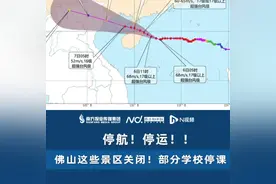 停航！停运！！佛山这些景区关闭！部分学校停课