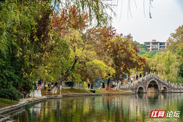 岁暖时刻丨暖冬长沙图鉴：烈士公园，藏不住的诗意光景