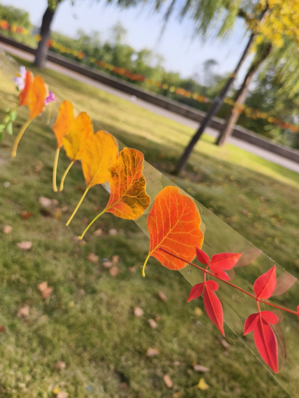 快出门！这些全是洛阳冬日限定！