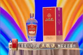 独家冠名央视《美美与共》 五粮液赋能“大国浓香”更多“和美力量”图片