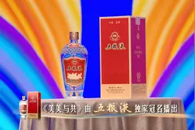 独家冠名央视《美美与共》 五粮液赋能“大国浓香”更多“和美力量”图片