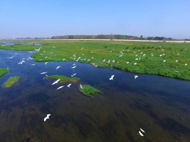 从“城市痛点”到“幸福河湖”！汝州市北汝河成市民消夏好去处