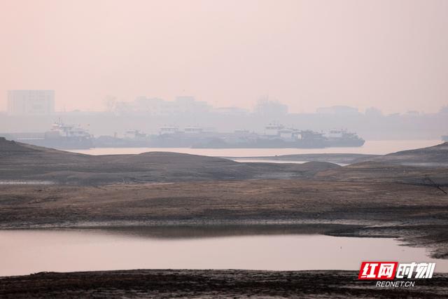 大美红图丨湘江枯水河床成市民活动“新场所”