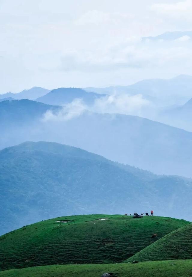 多位外籍网红博主“打卡”阳江