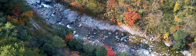 青睐绵阳 ‖ 小众彩林秘境！平武这条沟藏着最惊艳的秋天~