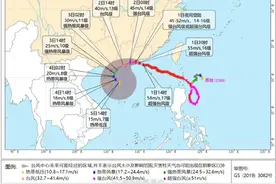转发提醒！台风将至，琼州海峡或停航，过海请尽快图片