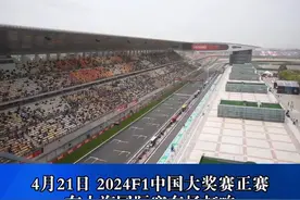 拄着拐杖也阻挡不了F1车迷的“飞驰人生”图片