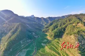 茶乡 茶人 茶事——保靖黄金茶春茶生产现场见闻图片