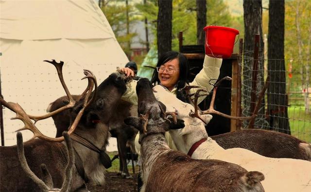 国庆、中秋假期呼伦贝尔成热门旅游目的地 接待国内游客161.84万人次