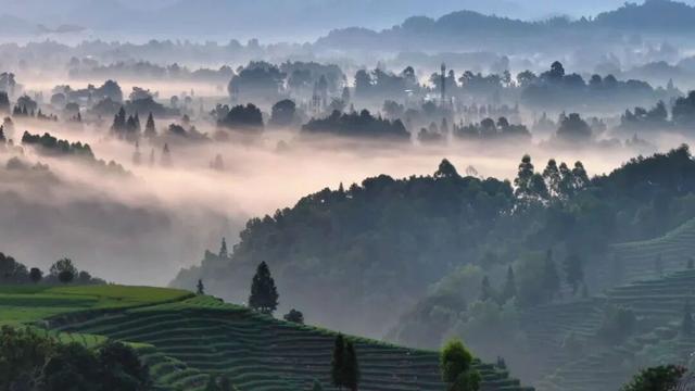 全川“秋假”看名山！这份“亲子游”全攻略，承包你的诗与远方！