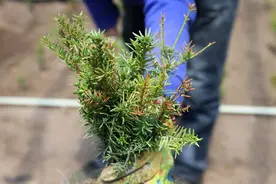 AI帮助搭建生物制造“超级工厂”，科学研究用上AI了图片