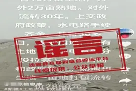 新疆沙雅有万亩土地流转？官方回应图片