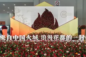 楚雄花卉亮相中国昆明国际花卉展图片