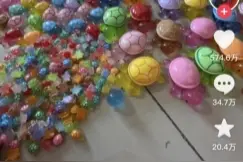 小众无人关注 全红婵一夜引爆 彩色乌龟销量暴增5倍 评论区满眼全妹图片