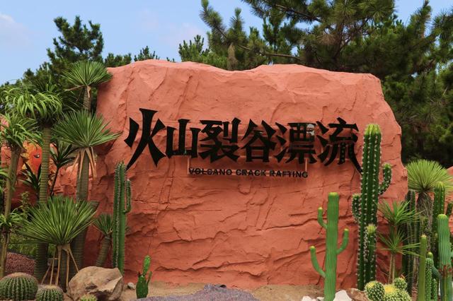 日照茶山牧场：一片茶香萦绕的治愈绿野