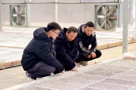 镇远涌溪：烤烟育苗工作全面启动 为新一年产业丰收打基础图片