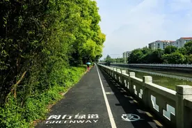 明星村、莘光村、南马村……一次绿道漫步，串联起莘庄的过去和现在丨闵行情图片